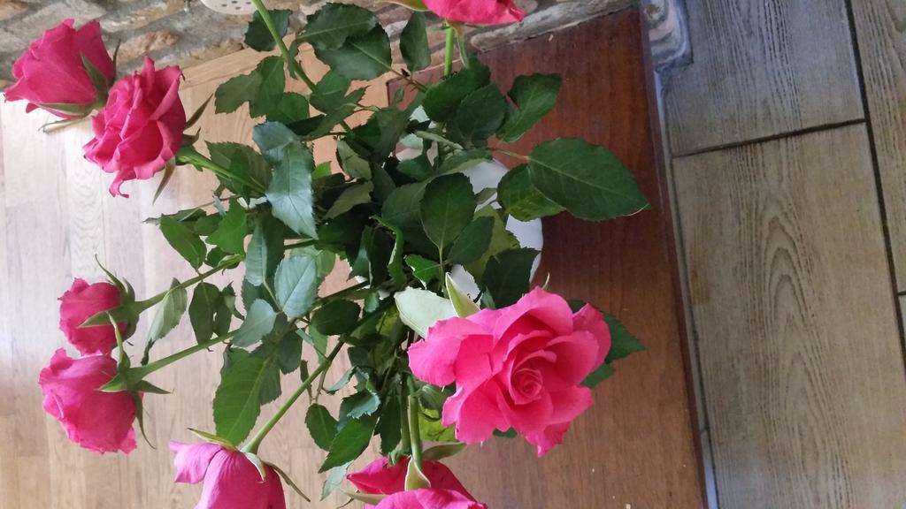 B&B Acacia Goirle Экстерьер фото